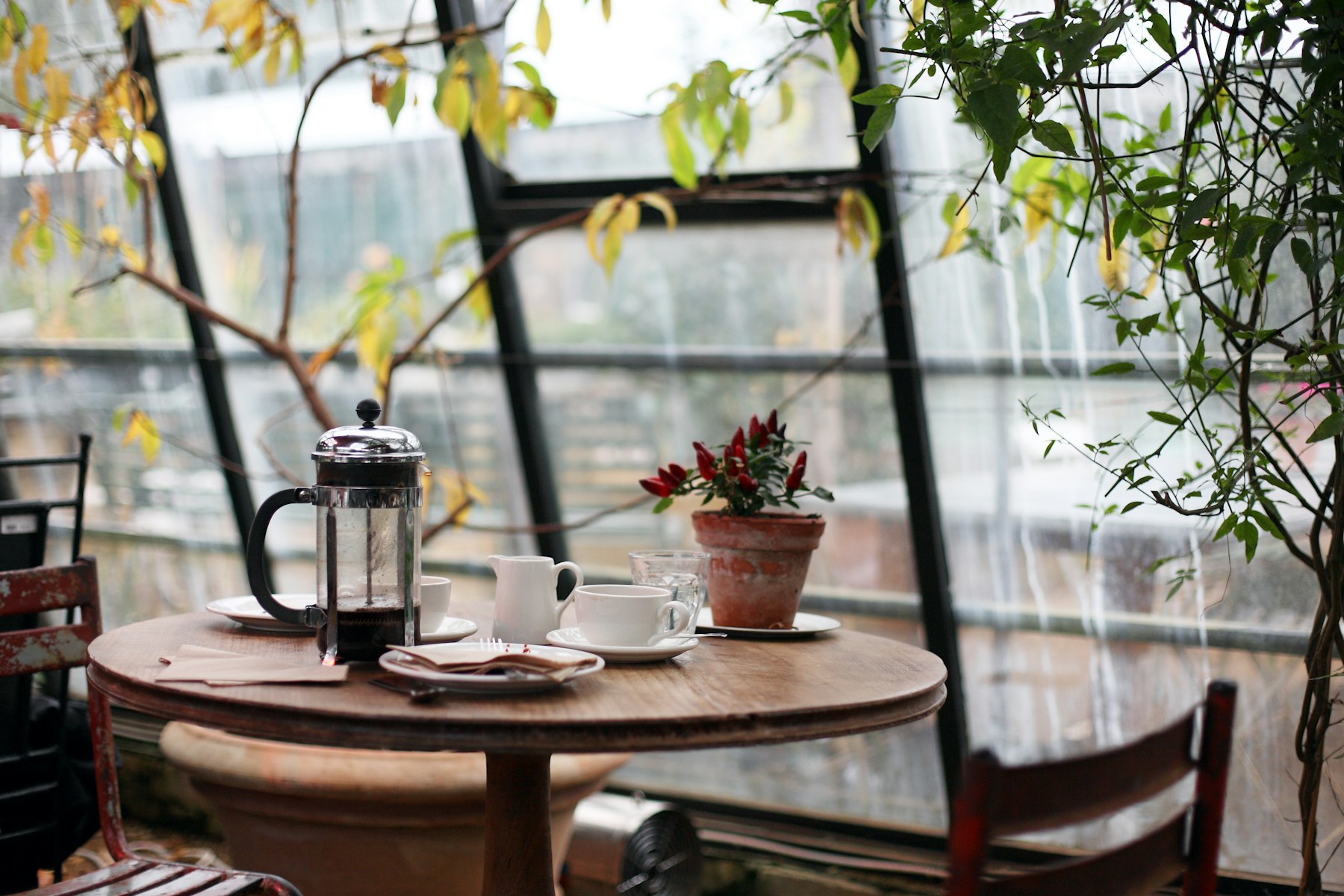 The warm, wood-lined counter inside Morrow and Pine coffee shop